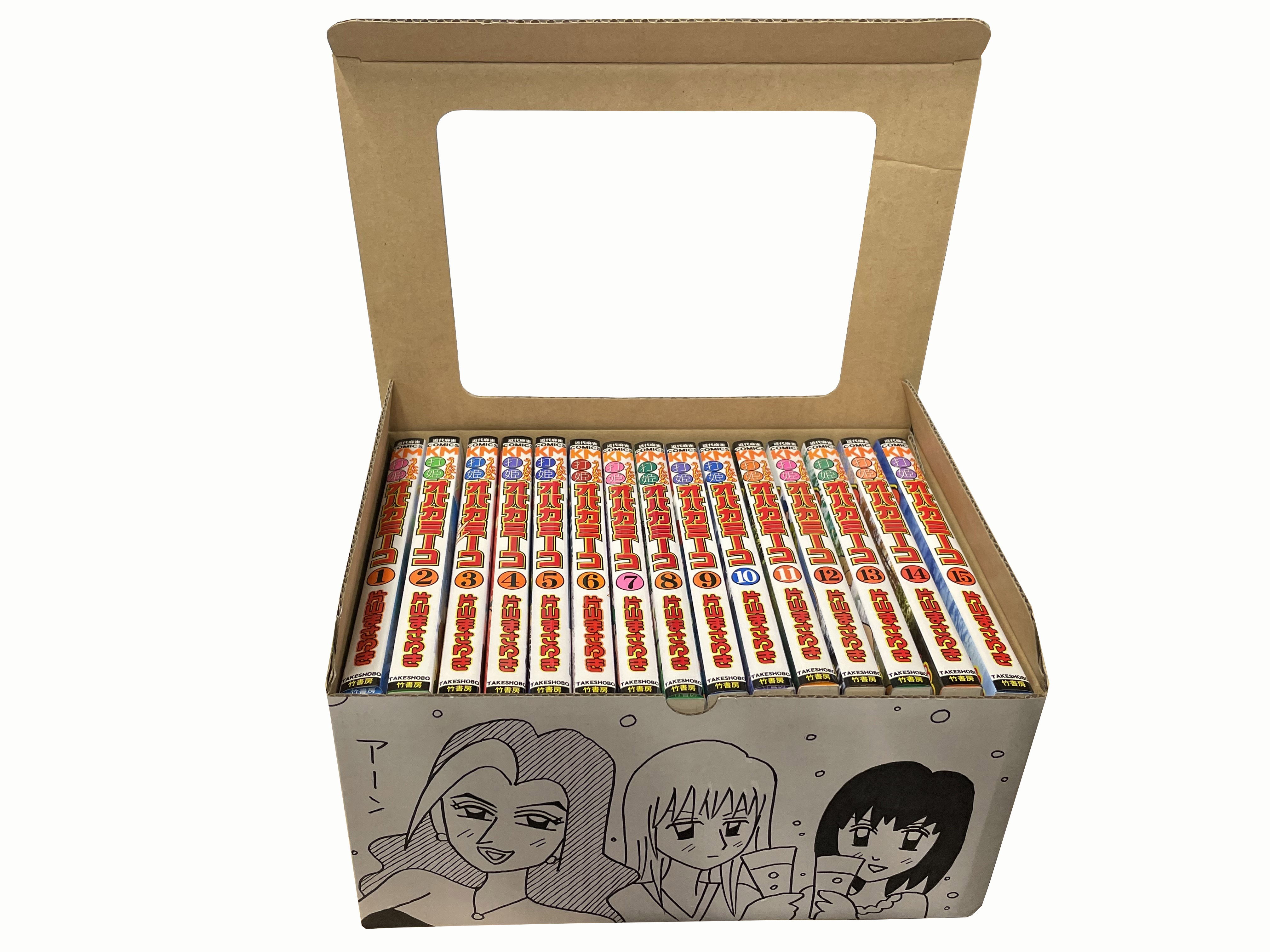打姫オバカミーコ収納BOX