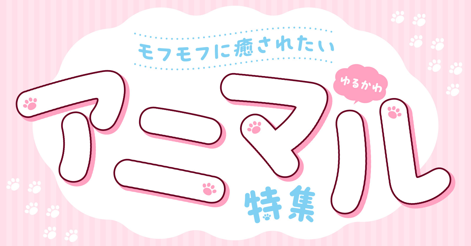 アニマル特集